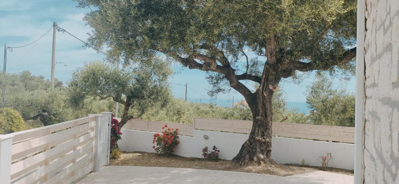 Villa Zante Avia Plános Exterior foto